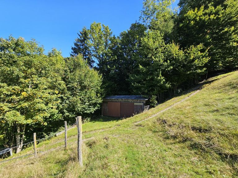 K1024_20250919_115701