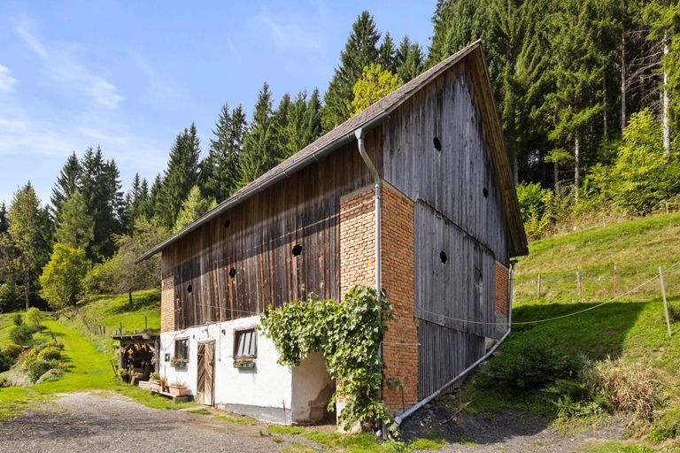 Wirtschaftsgebäude/Stall