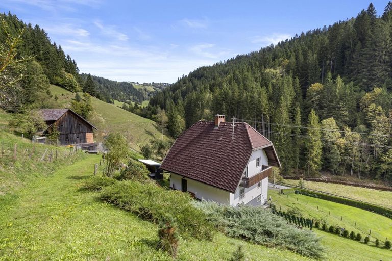 Haus mit Grundstück