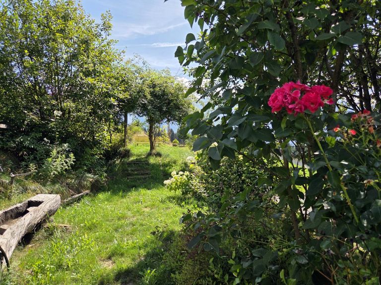 Garten mit Brunnenwasser