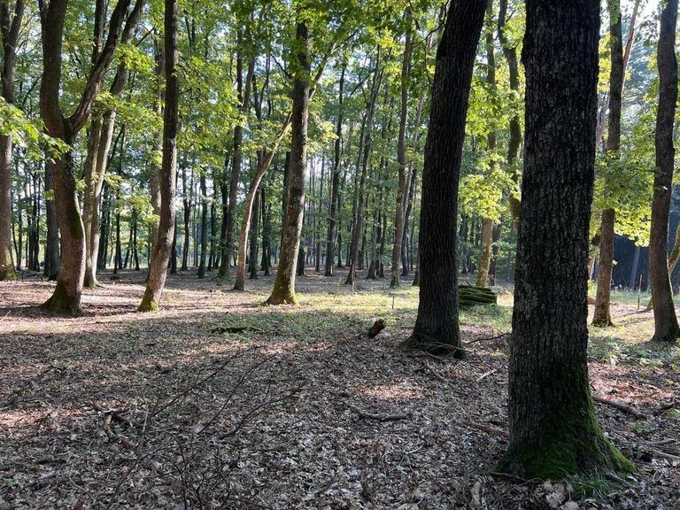 Natur spüren
