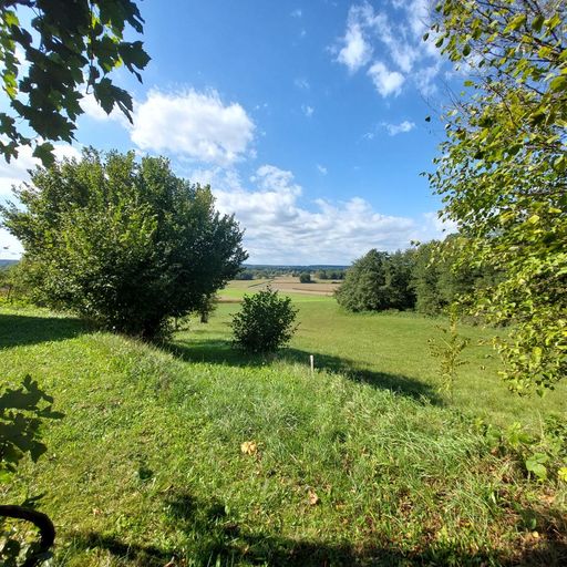 Blick in den Garten von der Laube