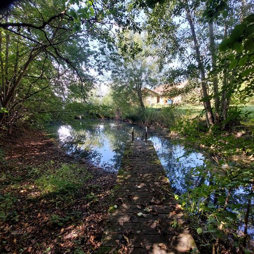 Schwimmteich