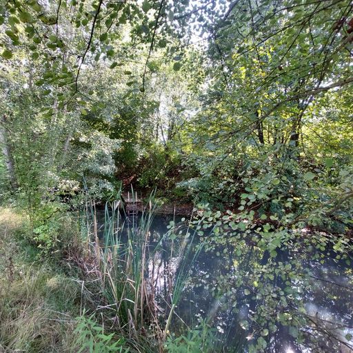 Schwimmteich