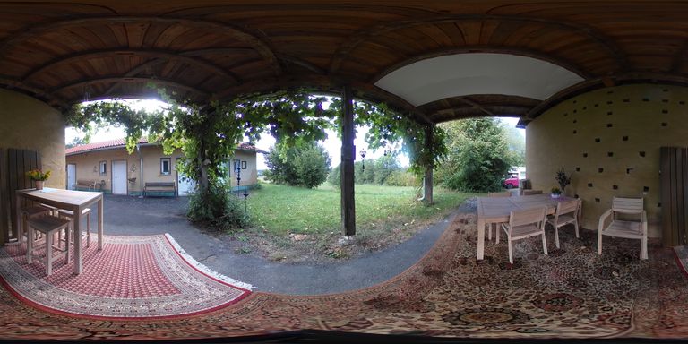 Laube