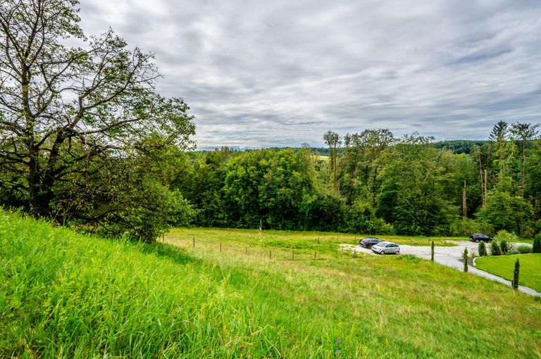 Natur pur, Ansicht Süden