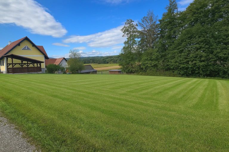 Grundstück ( mit Ki bearbeitet )