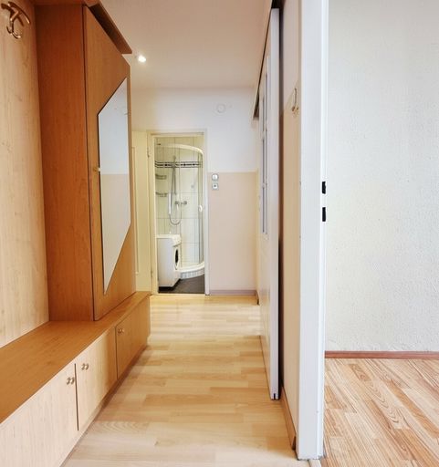 Vorraum / Wohnzimmer / Badezimmer