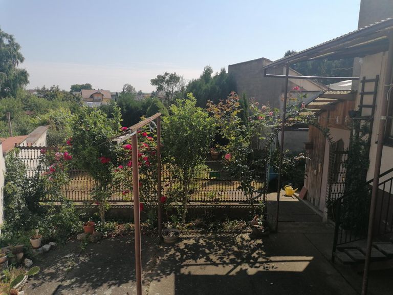 Ausblick in den Garten im Sommer von Küche