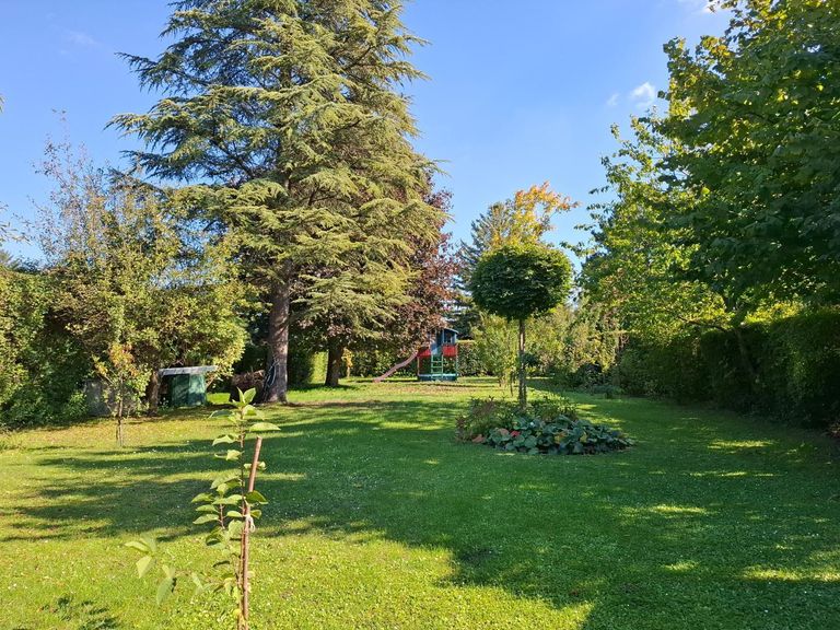 gepflegter Garten