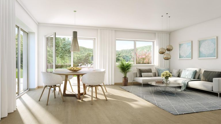 Zams - Visualisierung