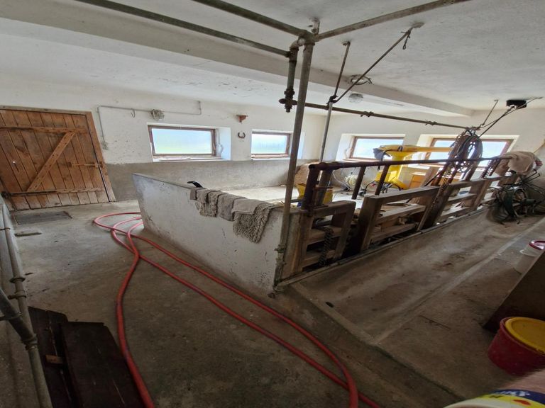 Stallungen geruchlos