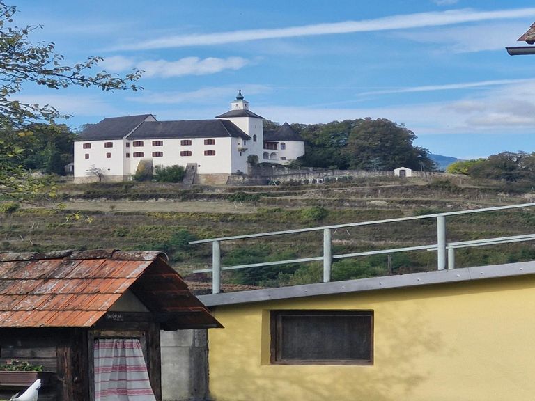 Schlossblick