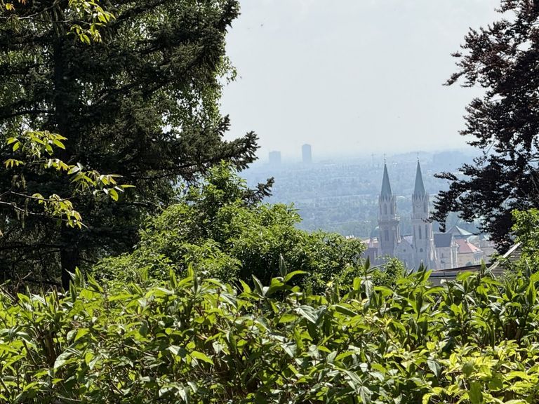 Ausblick auf das Stift