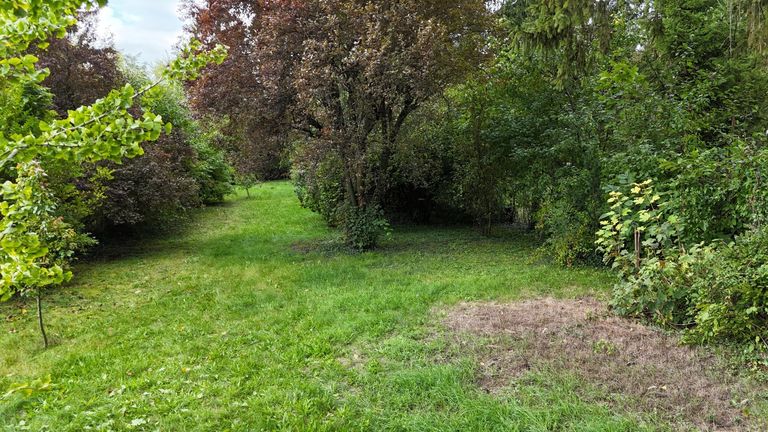 02 Grundstück in Langenzersdorf