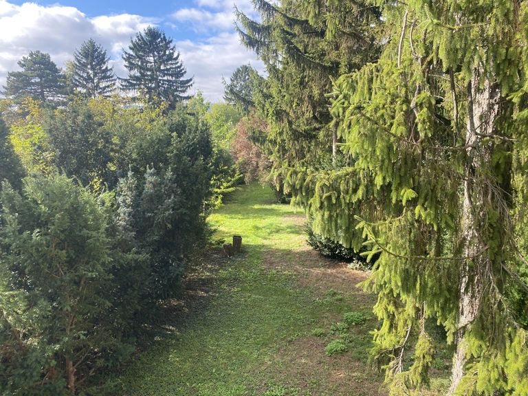 01 Grundstück in Langenzersdorf