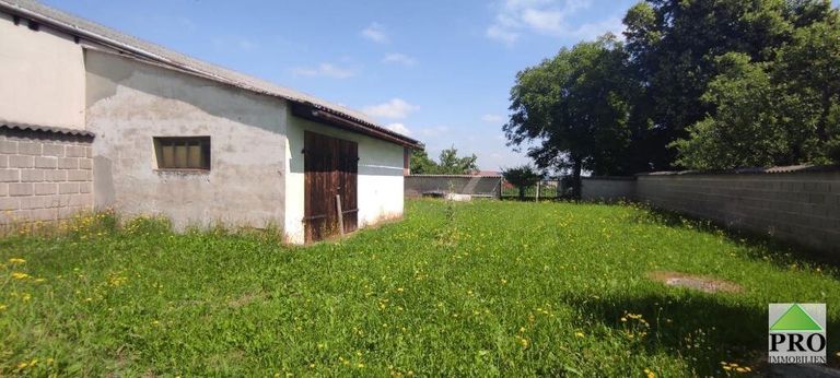 WhatsApp Image 2021-07-08 at 12.32.20 (4)