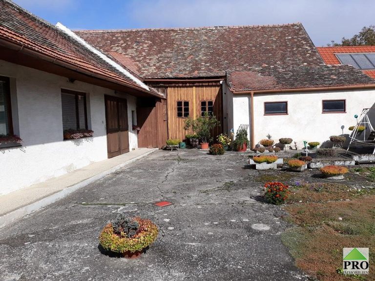 WhatsApp Image 2022-12-21 at 17.39.12