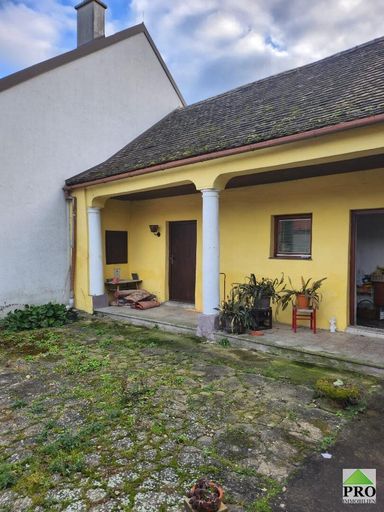 WhatsApp Image 2023-01-06 at 17.52.13 (3)