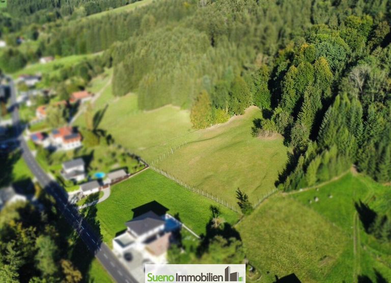 Drohnenfoto Baugrund Wiese - Wald