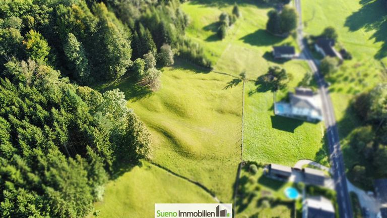 Drohnenfoto Baugrund Wiese - Wald