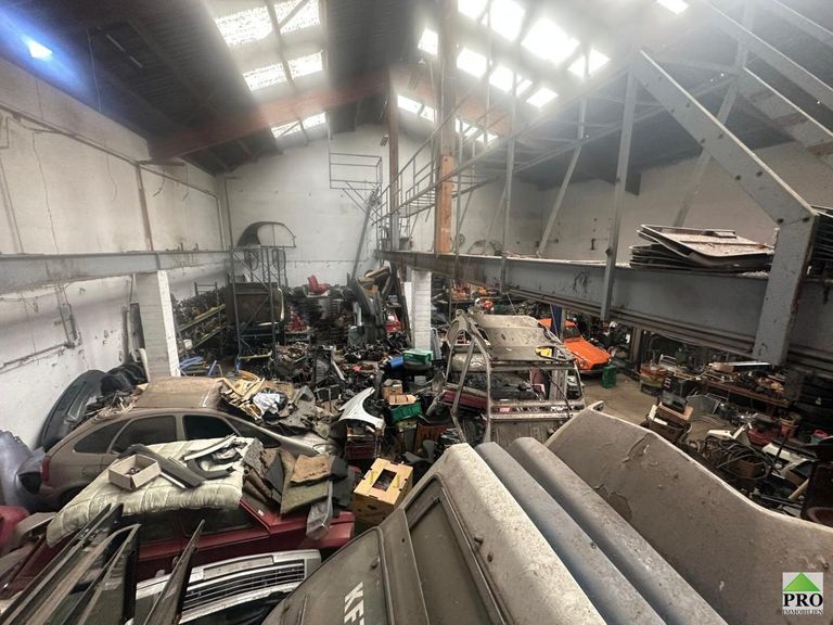 WhatsApp Bild 2025-05-26 um 08.50.39_26685676