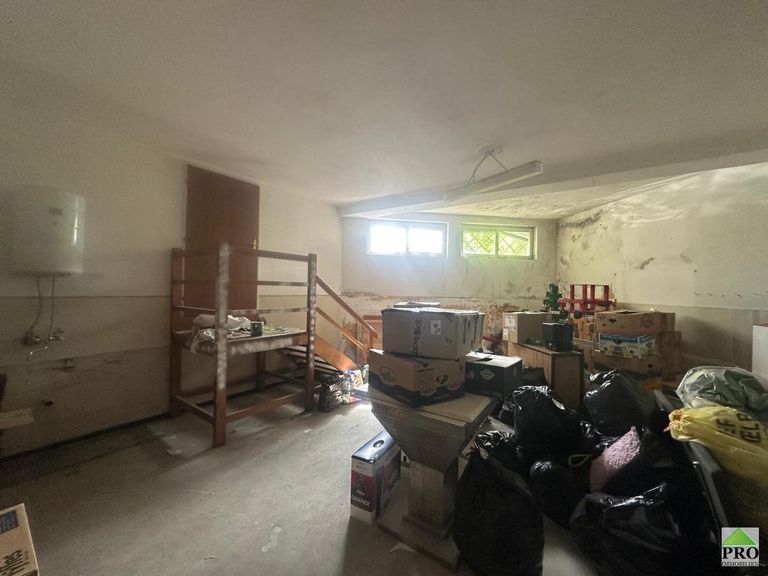 WhatsApp Bild 2025-05-26 um 08.50.39_032b9311