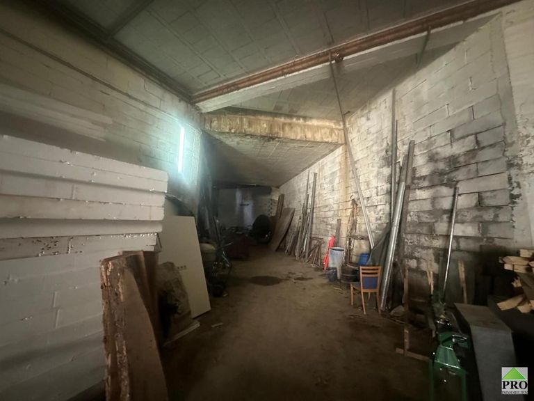 WhatsApp Bild 2025-05-26 um 08.50.39_58bad44a