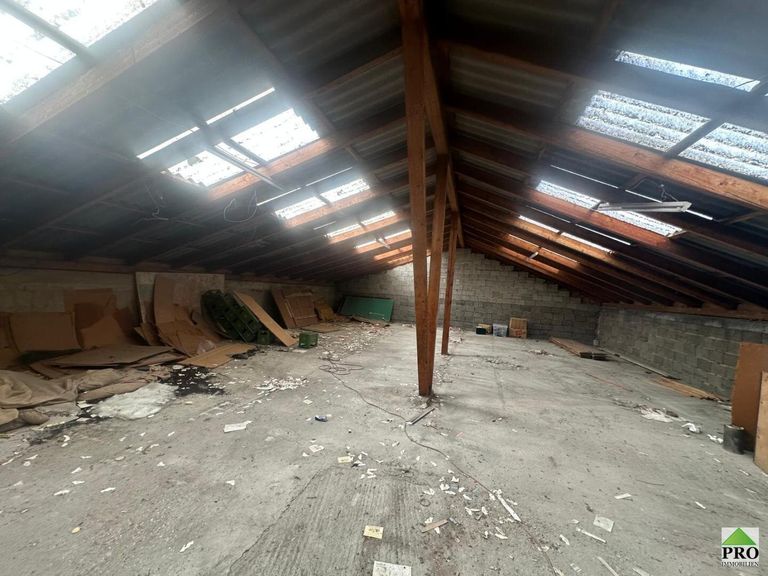 WhatsApp Bild 2025-05-26 um 08.50.39_b84826e3