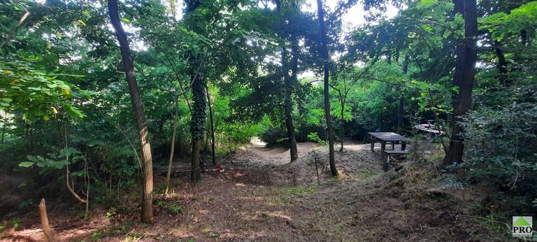 WhatsApp Image 2025-07-31 at 17.12.18