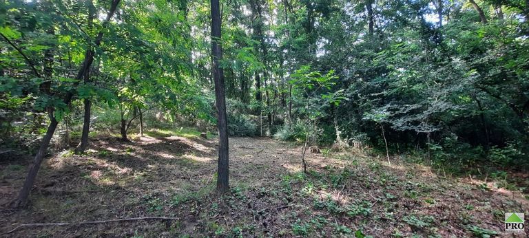 WhatsApp Image 2025-07-31 at 17.11.38