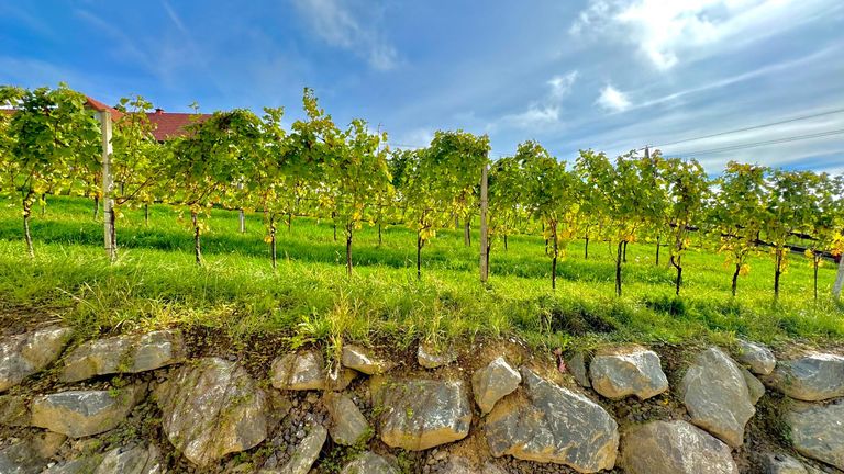 Wohnung in 8493 Klöch