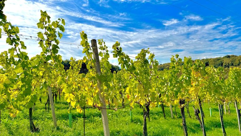 Wohnung in 8493 Klöch