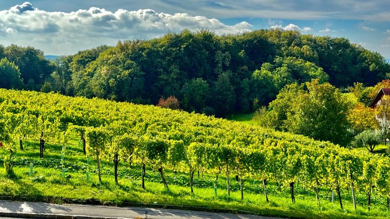 Wohnung in 8493 Klöch