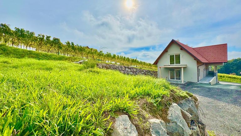 Wohnung in 8493 Klöch