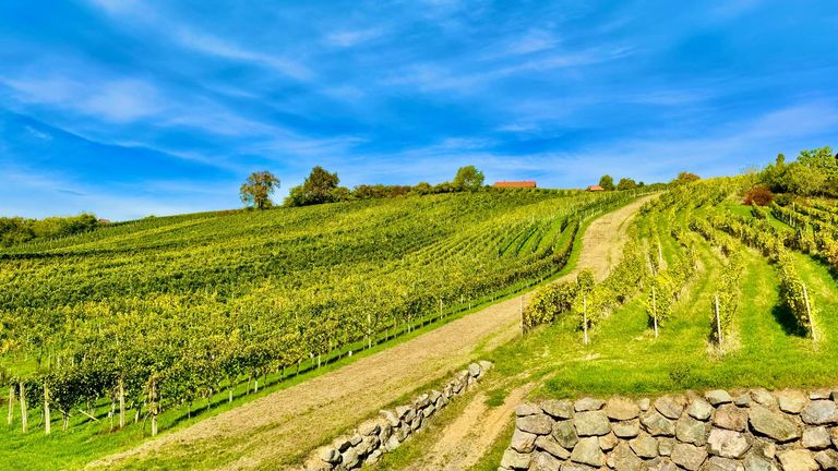 Wohnung in 8493 Klöch