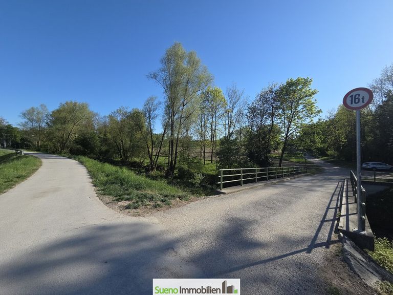 Spazierweg hinter dem Haus in die Traun Au