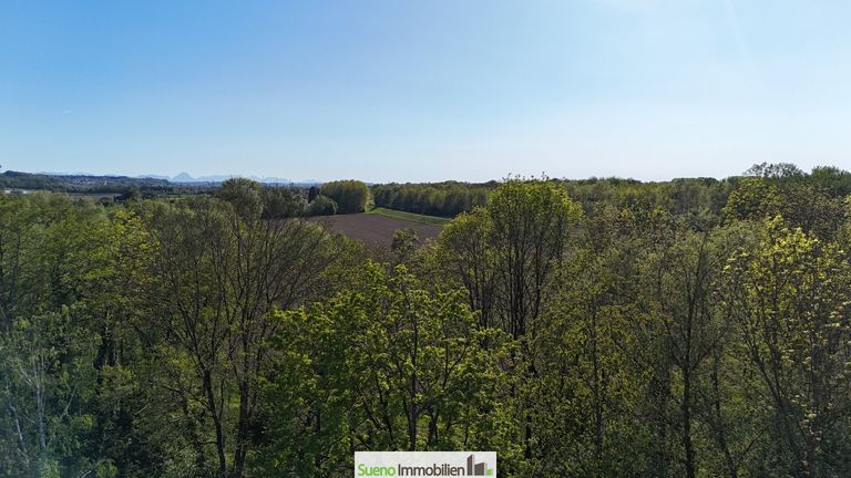 Blick in die Traun-Au (Drohnenaufnahme)