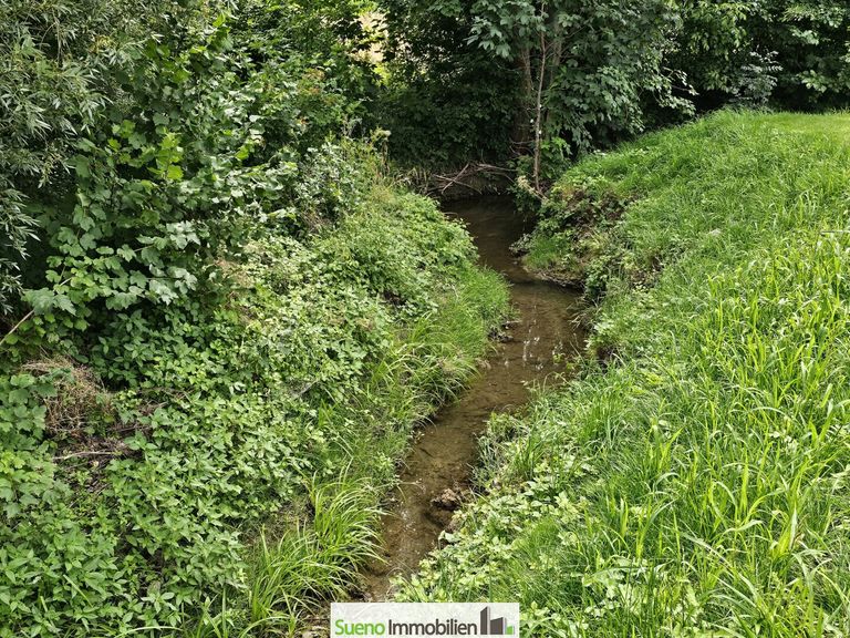 Idyllischer Bach neben dem Objekt