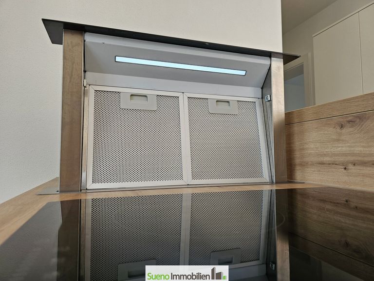 Ausfahrbarer Dunstabzug