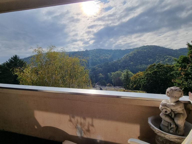 Immobilie in Klosterneuburg, Obj. 3992