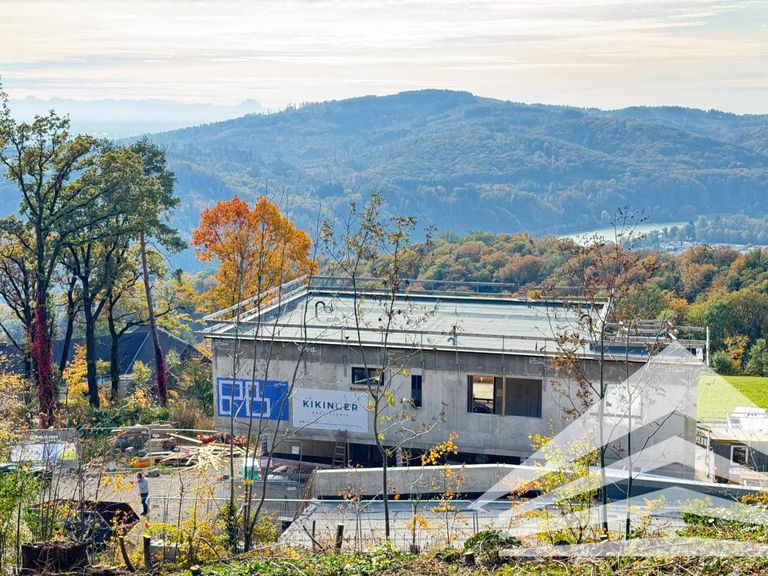 Ausblick auf die Donau