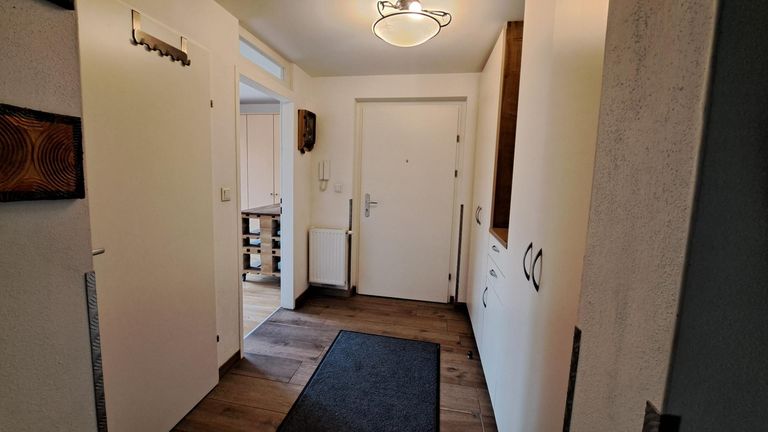 zentrales Vorzimmer / Eingangsbereich