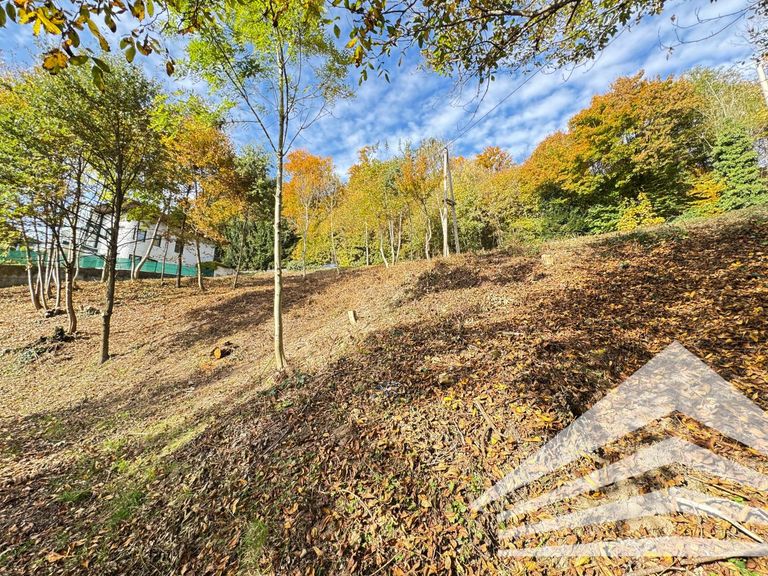 Blick Richtung Nord-West