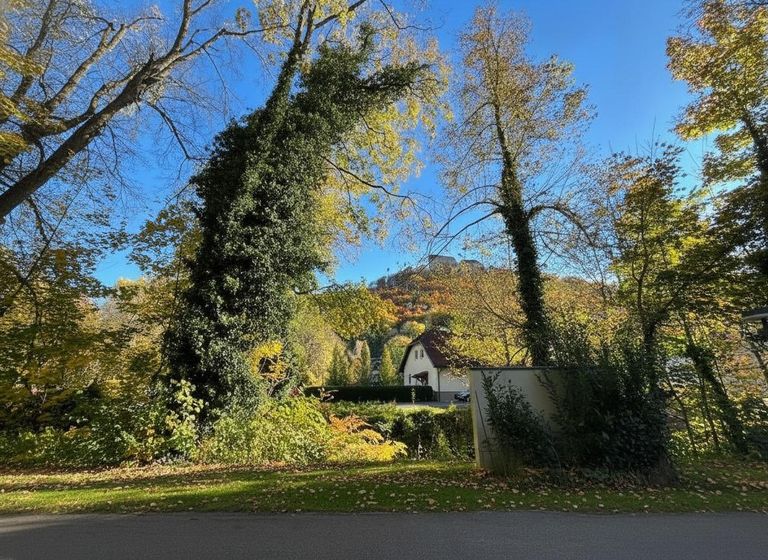 Schlosspark