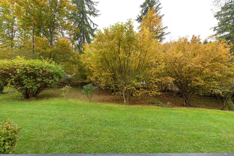 Genießen Sie die wunderschöne Natur!