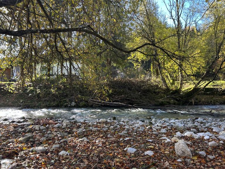 direkt am Bach