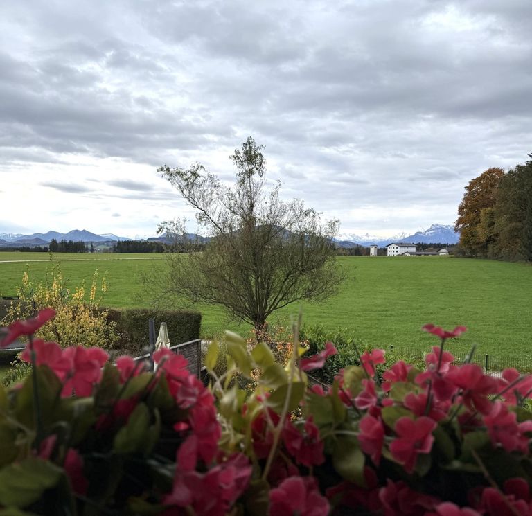 Ausblick