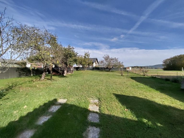 Blick in den Garten