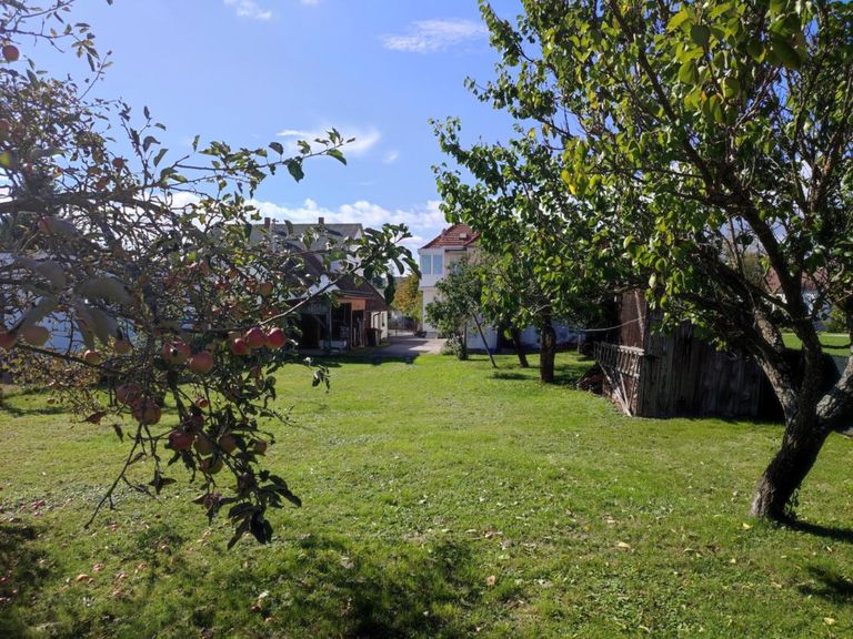 Blick vom Garten